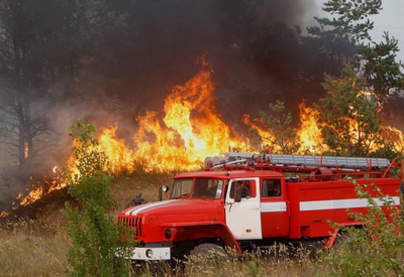 На Київщині оголосили надзвичайну пожежну небезпеку: що це означає