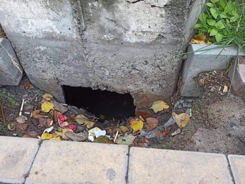 Нечистоти на тротуарі, дітям – небезпека: у Бучі комунальників просять зайнятися відкритою вигрібною ямою