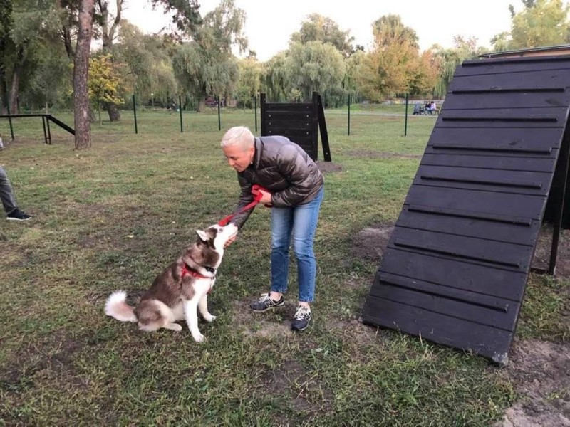 Собача гульня! В Дніпровському районі відкрився майданчик для собак – локація