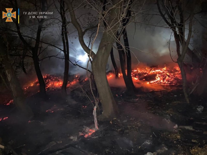 15 пожежників боролися з вогнем на Солом‘янці: палало 300 кв.м. трави і дрова