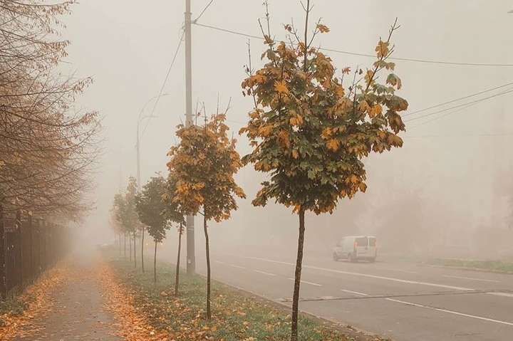 Сьогодні в Києві буде туманна погода – поради водіям
