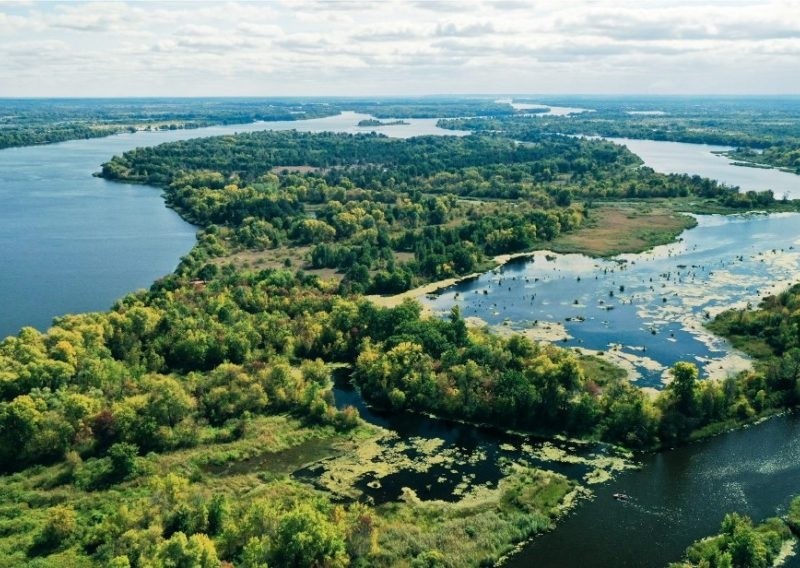 Чикрижать Голосіївський парк: деякі селища намагаються захопити землі Києва