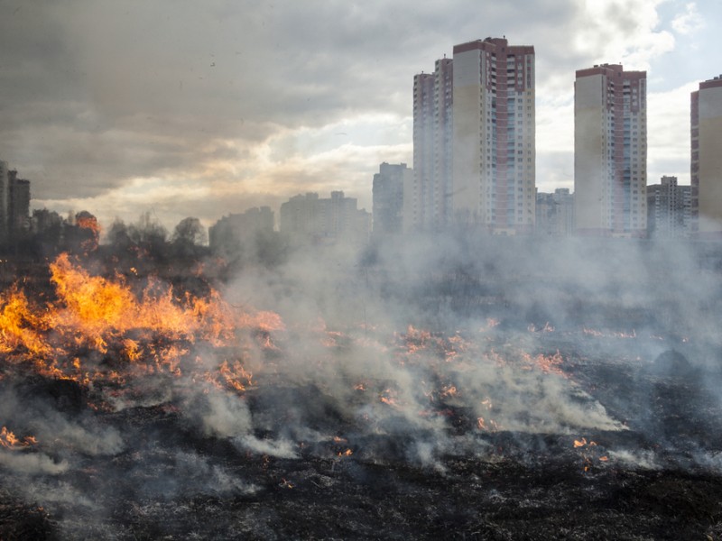У Києві за день загасили 14 пожеж в природних екосистемах