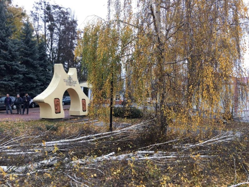 Пиляють дерева та погрожують бензопилами: в Києві знищують Парк трипільської культури (ФОТО, ВІДЕО)