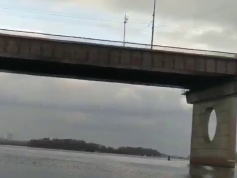 В Києві з мосту в Дніпро викинули собаку (ВІДЕО)