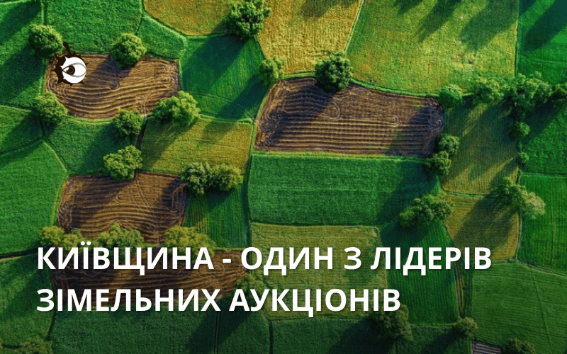 Земельні аукціони: Київщина увійшла у топ-5 регіонів за кількістю торгів і вартістю ділянок