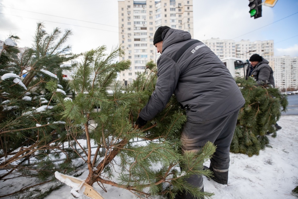 демонтаж незаконних ялинкових базарів