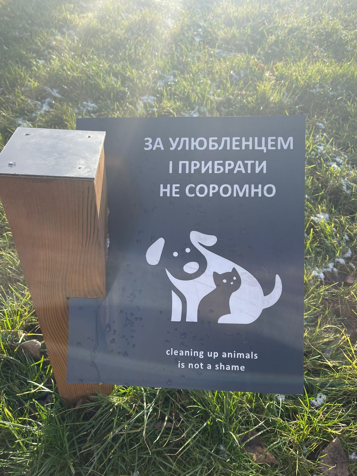 майданчик для собак у парку Шухевича