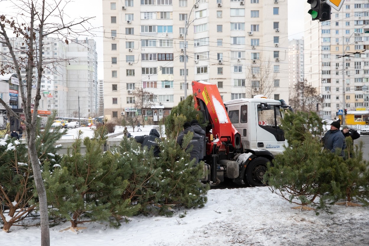 демонтаж незаконних ялинкових базарів