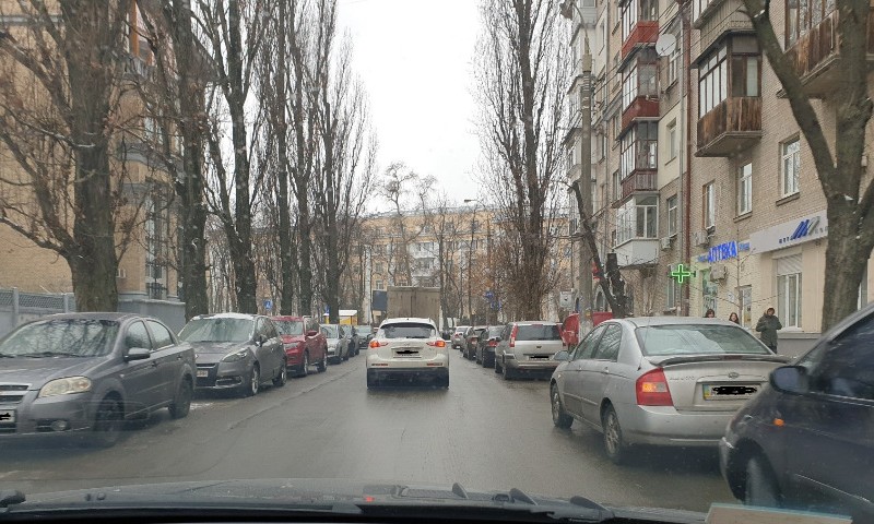 Мешканці столиці пропонують встановити делінеатори на вулиці Богданівській