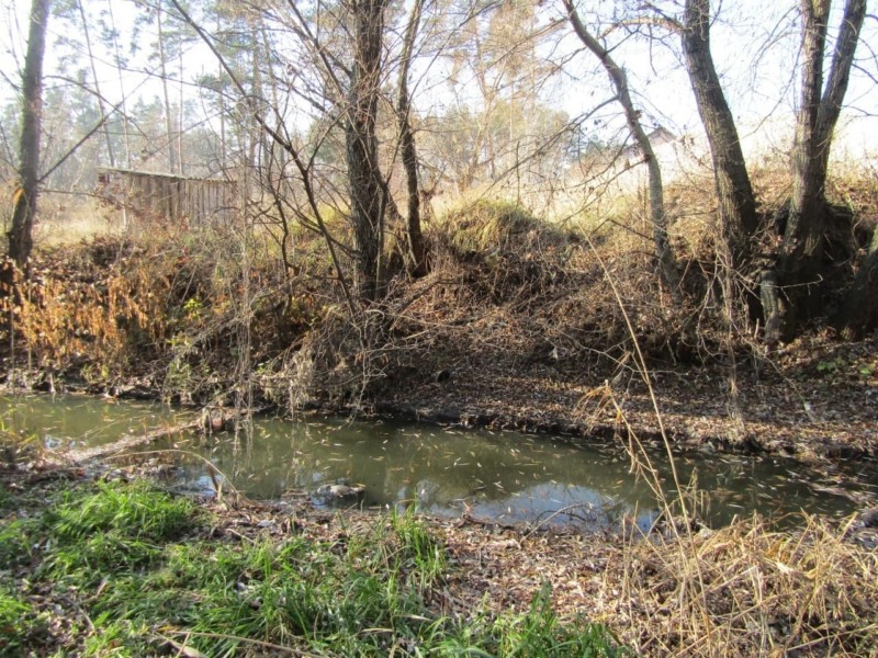 Річку Стугну на Київщині забруднили небезпечними відходами