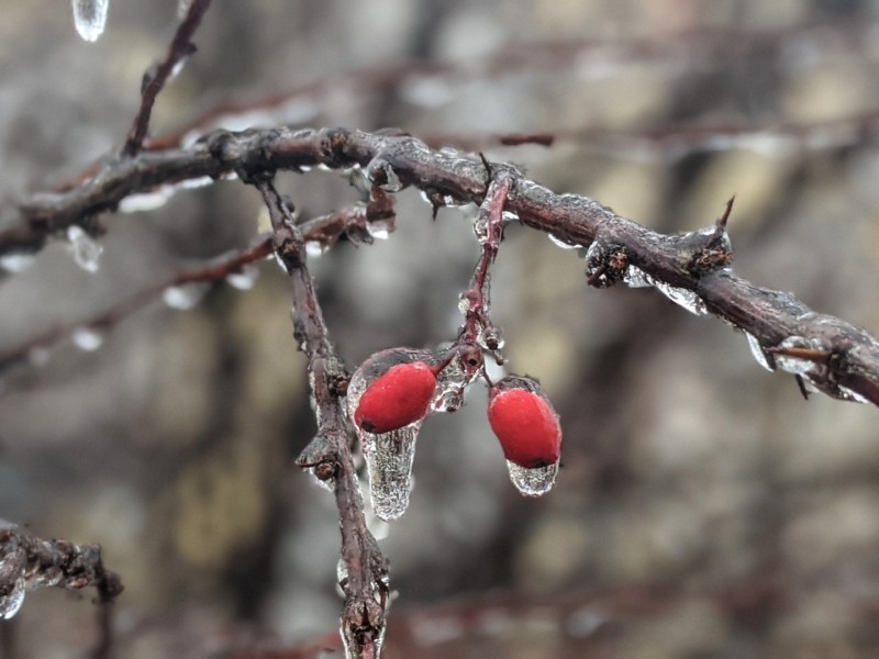 Сніг, дощ і вітер: у Києві і області знову погіршиться погода