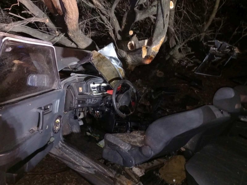 Під Києвом автівка злетіла з дороги в дерево, загинула дитина (ФОТО)