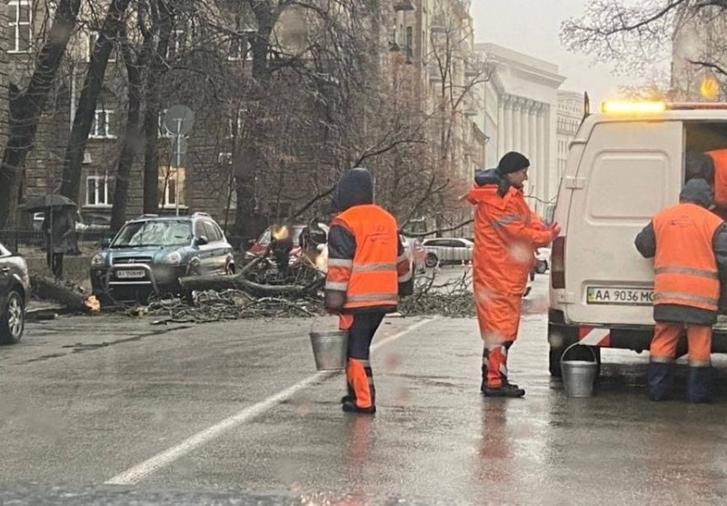 Величезне дерево впало на дорогу біля Офісу президента (ФОТО)