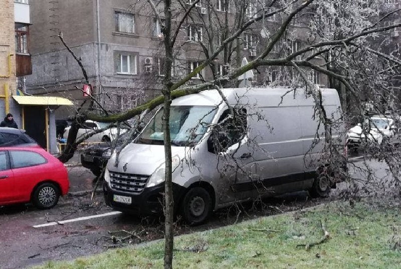В Києві через негоду почався “деревопад”, вже пошкоджено кілька автівок (ФОТО)