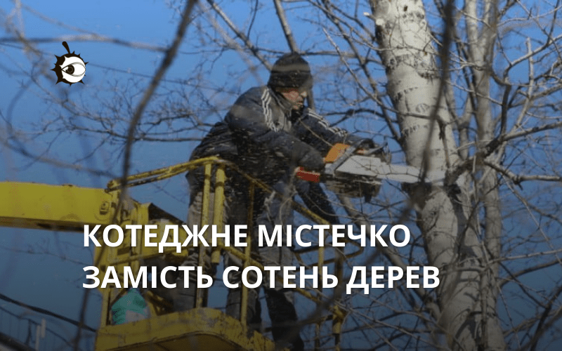 У Вишгороді заради котеджного містечка знищили кілька сотень дерев (ВІДЕО)