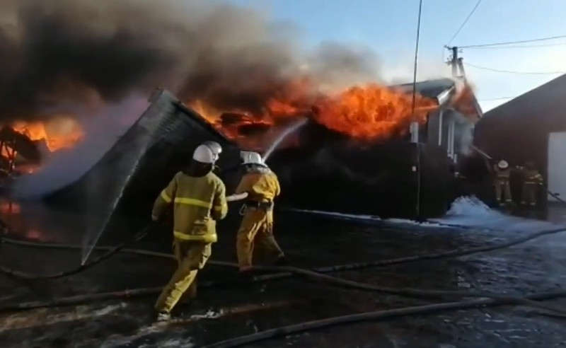 Рятувальники показали, як борються з масштабною пожежею під Києвом (ВІДЕО)