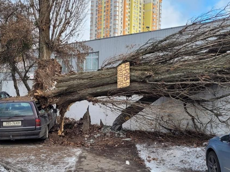 Буря у Києві повалила понад 80 дерев
