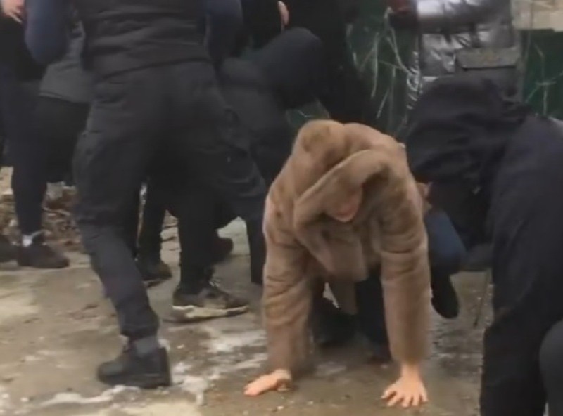 Знайшли молодиків, які спровокували махач на вулиці Вільшанській на Печерську