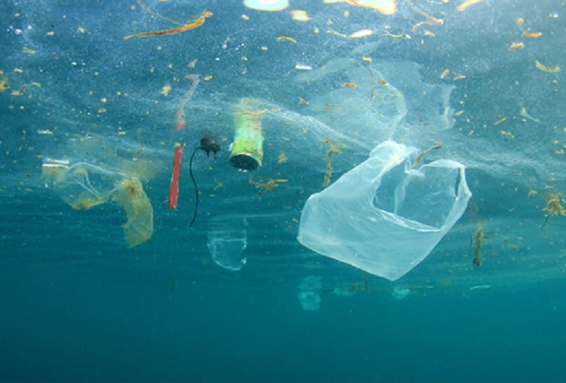 До 2050 року вага пластику перевищить вагу всієї риби в океанах – EIA