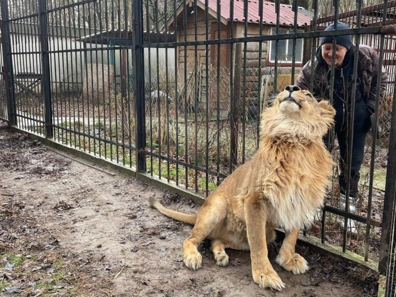 Як рятують жертв забав людини: притулок для диких тварин під Києвом (ФОТО)