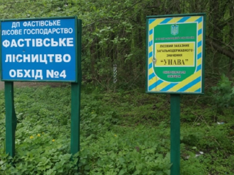 Поблизу Києва незаконно захопили землі найбільшого лісового заказника