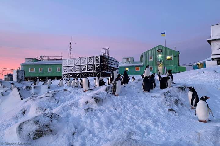 Створено подкаст з полярницею: про антарктичні пригоди розповідає Марія Павловська