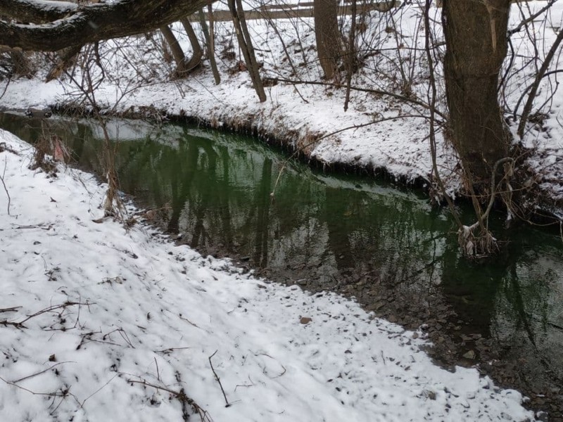 У Києві з позеленілої річки візьмуть пробу води