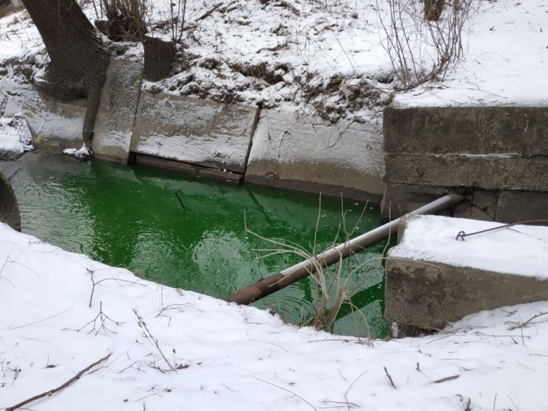 Річка в парку Нивки стала зеленою (ФОТОФАКТ)