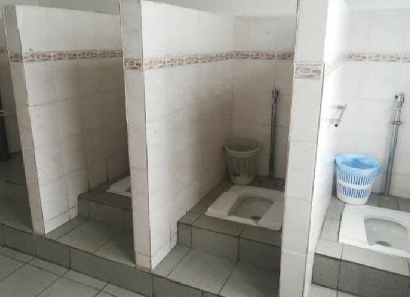 Київський “слуга” Гурін долучився до ремонту туалетів в гімназії за 1 млн грн (ФОТО)
