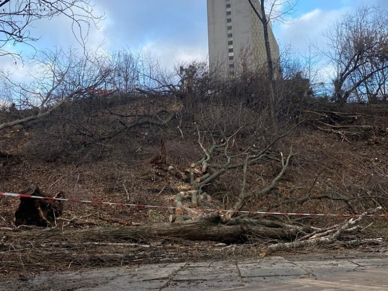 Скандальне будівництво на Черепановій горі: стало відомо, хто і заради чого знищив десятки дерев