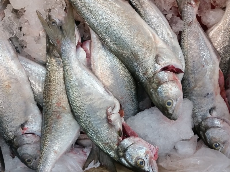 На Київщині рибні браконьєри завдали збитків на понад 200 тис грн