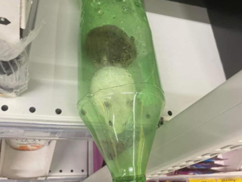 У київському гіпермаркеті на полиці знайшли пляшку з хом’яками
