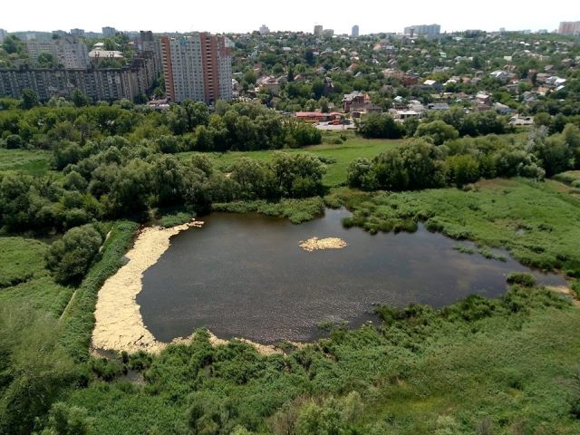 Біля Совських ставків планують створити парк відпочинку