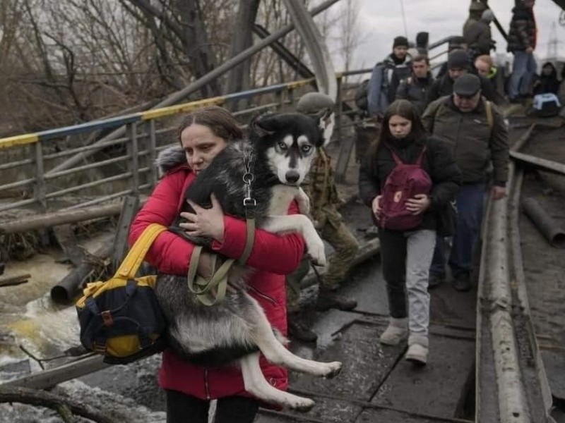Сьогодні запрацюють коридори для евакуації жителів Ворзеля, Бородянки, Ірпеня, Гостомеля