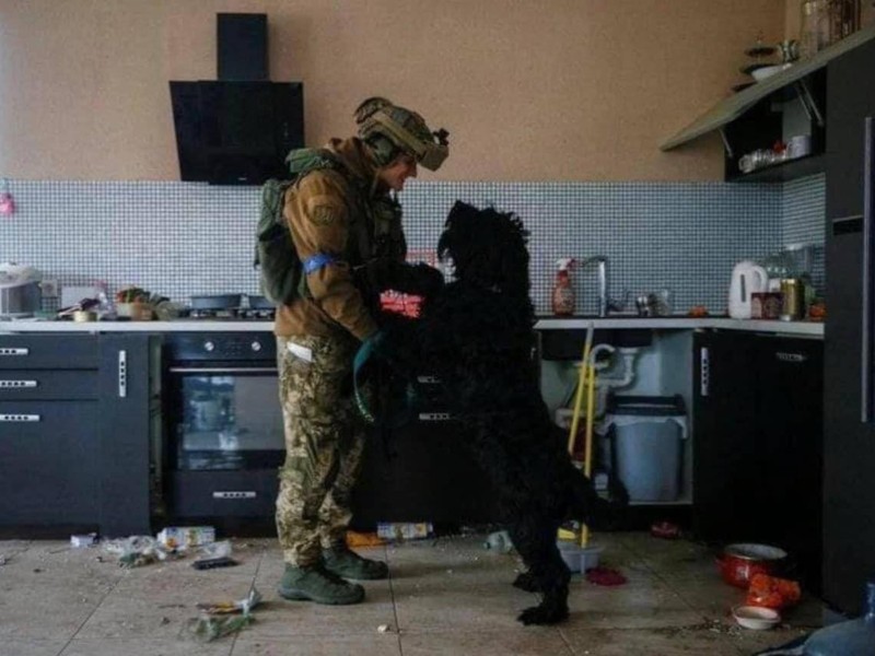 Українські військові врятували собаку, який залишився сам у розбомбленому будинку в Ірпені
