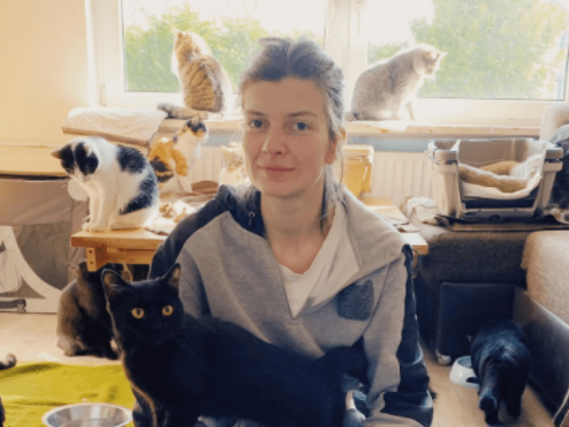Котяча евакуація: дві сестри вивезли з Києва 47 котів і собаку