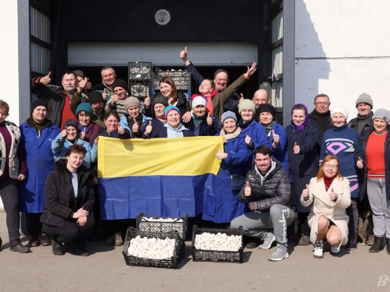 Гастрономічна армія: на Київщині вирощують печериці для військових
