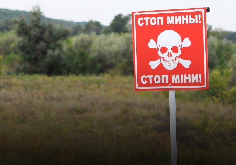 Третину українських полів не засіють через війну