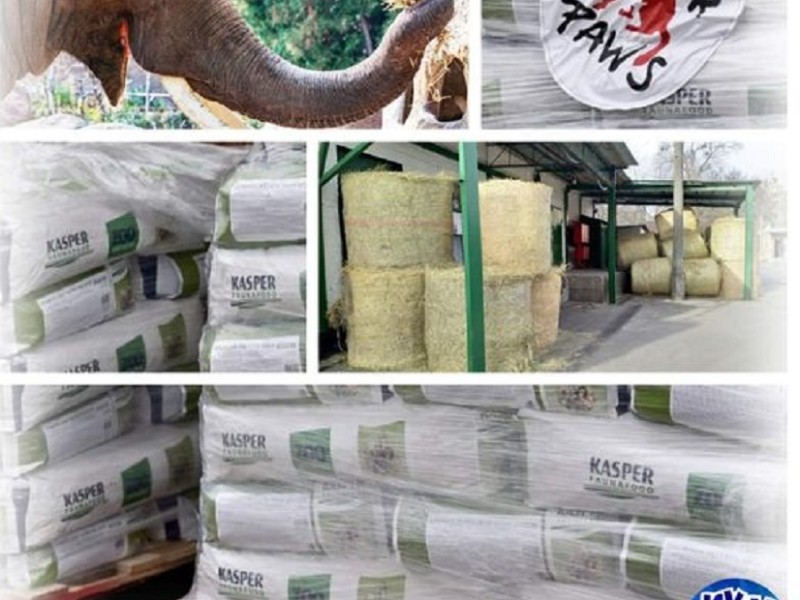Київський зоопарк отримав близько 12 тонн гуманітарної допомоги від міжнародного благодійного фонду