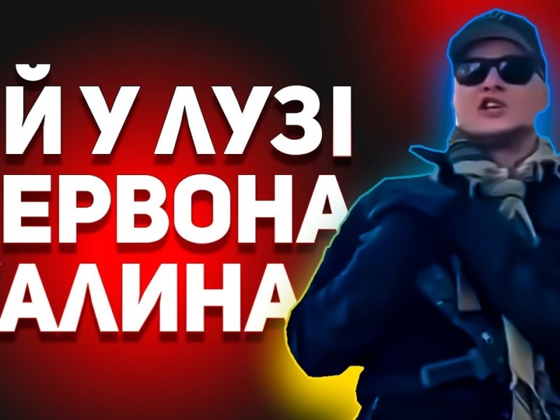 Українські зірки влаштували відео-флешмоб на пісню “Ой у лузі червона калина”
