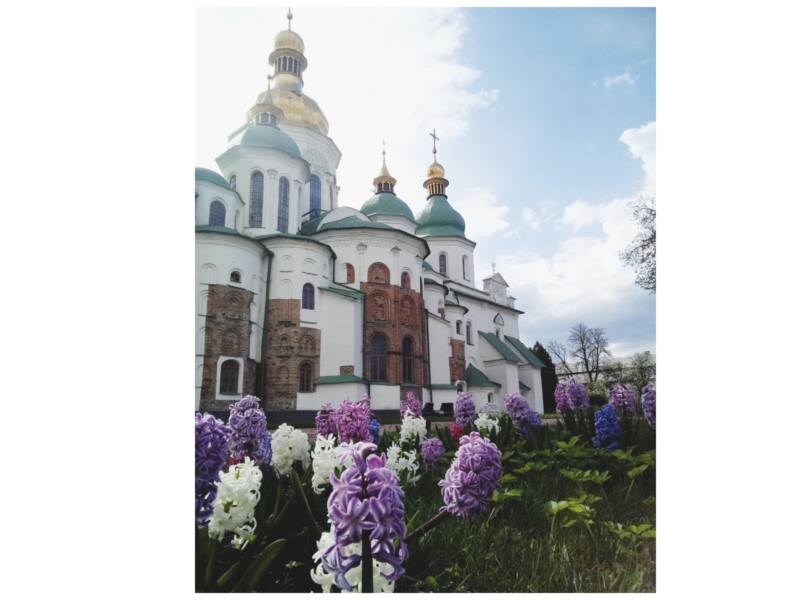 У «Софії Київській» квітнуть сортові тюльпани, гіацинти та нарциси