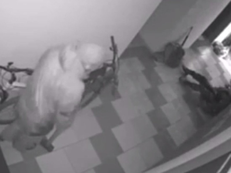Російські мародери в Ірпені виламували двері кувалдою