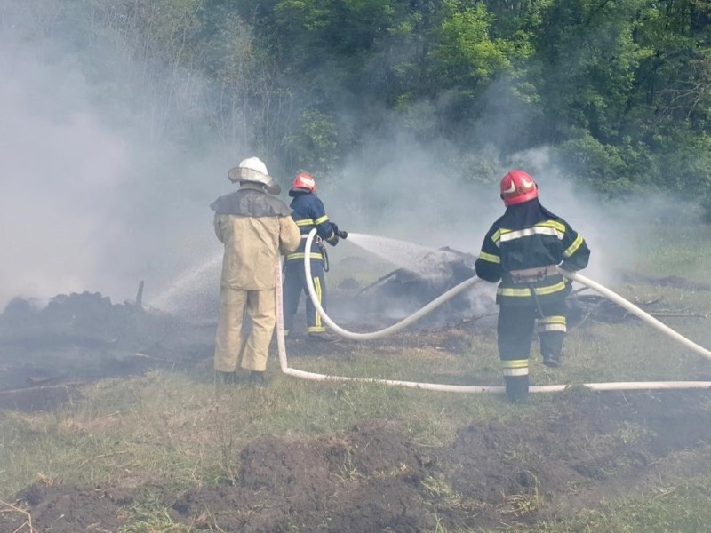 У лісах на Київщині приборкують 3 великі пожежі