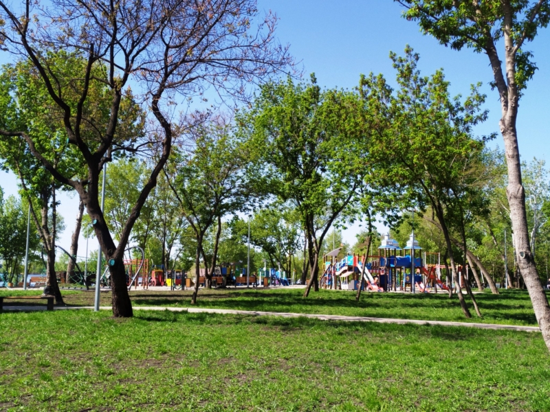 У новому парку на Позняках зелене поповнення: пахуча черемха і тінисті клени
