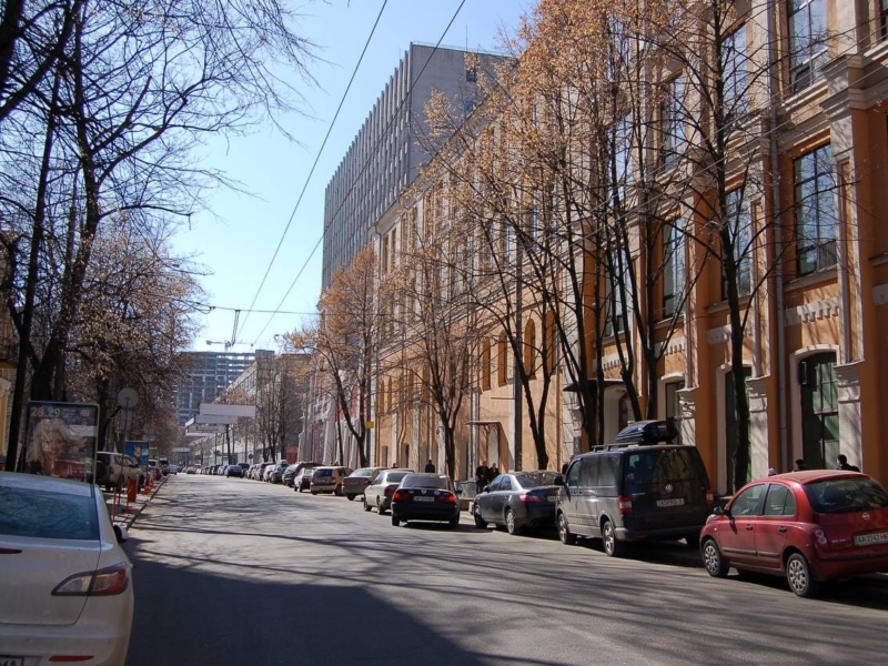 Одну з дерусифікованих вулиць у Києві можуть назвати на честь князів Острозьких
