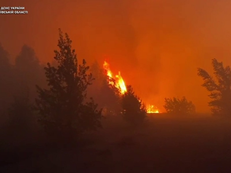 Апокаліптична картина. Поблизу Чорнобильської зони спалахнув ліс