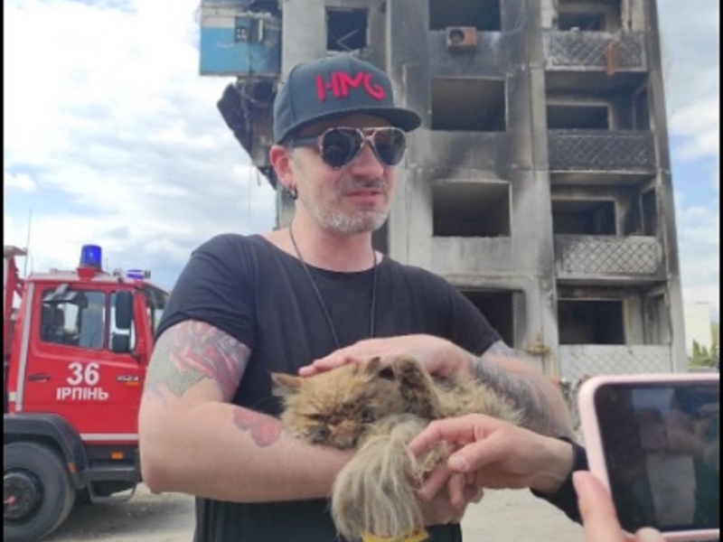 У Бородянці врятували кота, який знаходився на 7 поверсі зруйнованого будинку