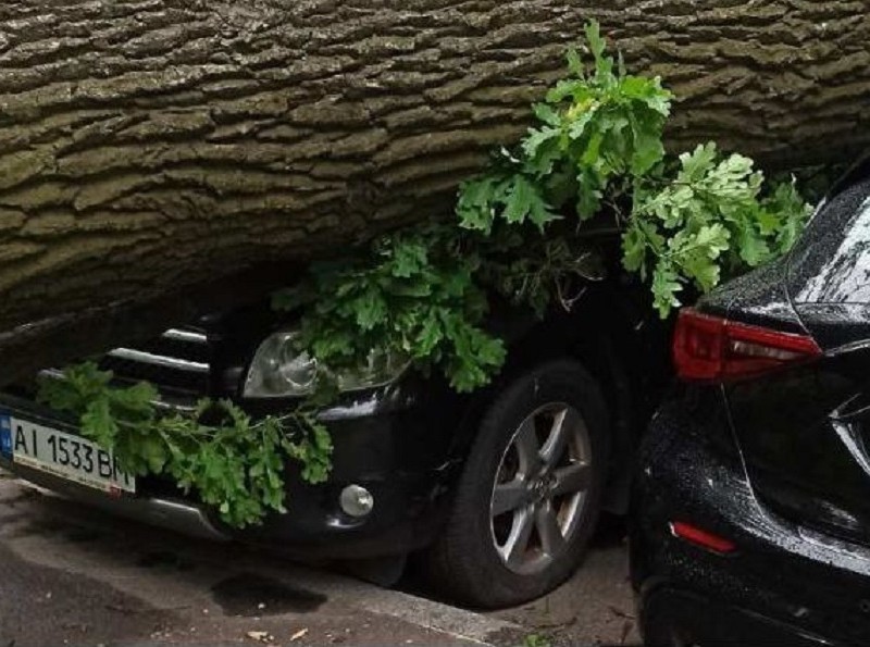На Крамського величезне дерево і стовп впали на автомобілі (ФОТО)