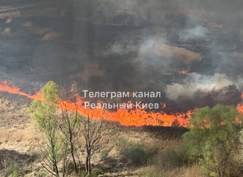 На Троєщині у Києві горить очерет